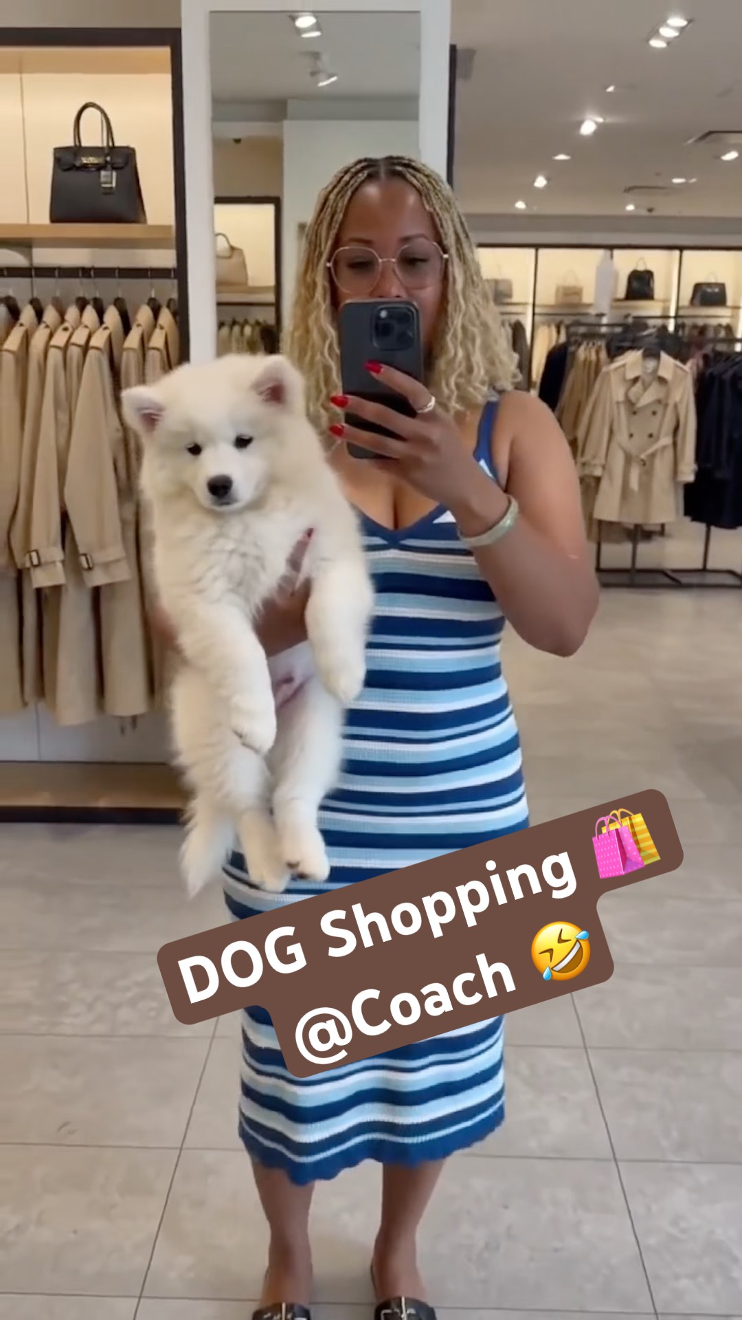 shopping #coach #love #coachoutlet #comeshopwithme #dog #dogshorts