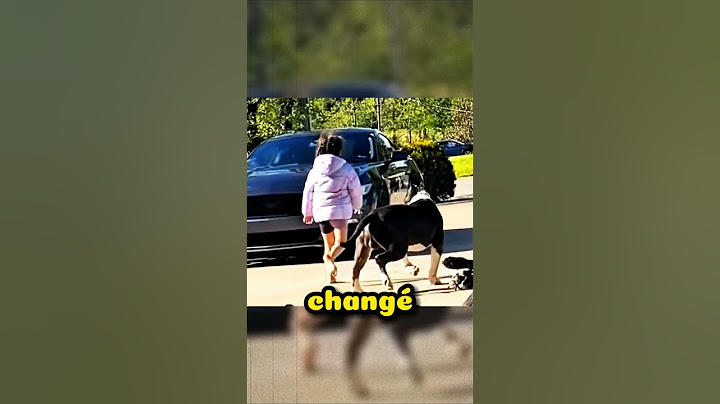 CES CHIENS SONT DRESSES POUR PROTEGER LES ENFANTS DE LEUR MAITRE !