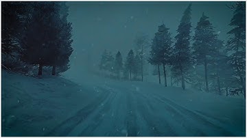 Mighty Blizzard Sounds for Sleeping in a Frosty Forest┇Heavy Howling Wind & Epic Snowstorm Sounds