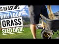 How to grow grass seed.  Preperations tips to growing grass