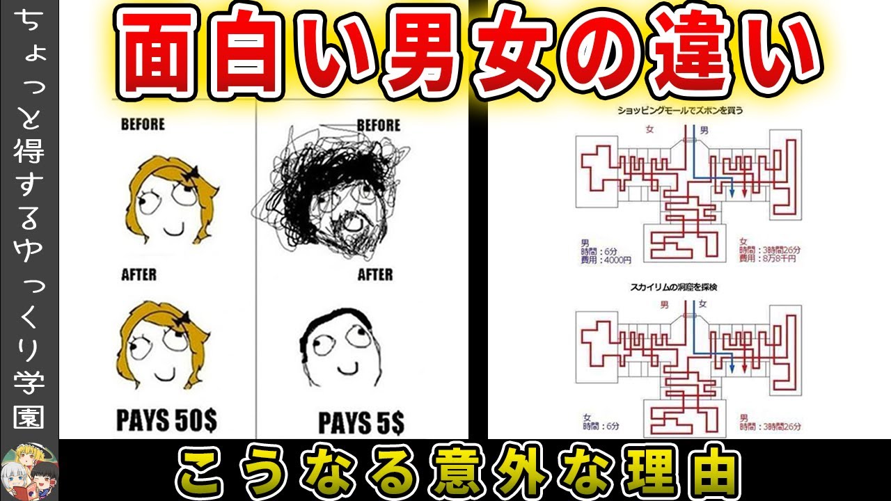 【あるある】お互いに理解できない男女の違いと何故そうなるのか？【ゆっくり解説】