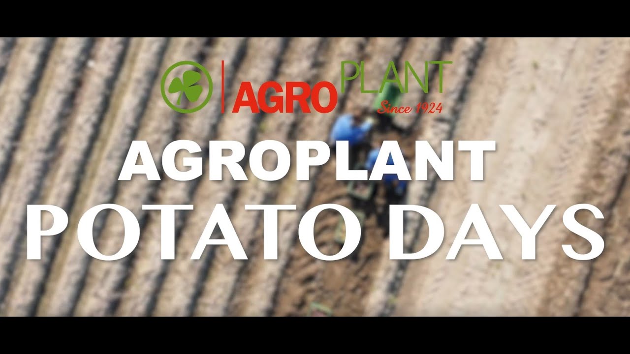 Agroplant Potatodays 2020