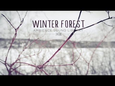 Winter Forest - Ambience Sound Library