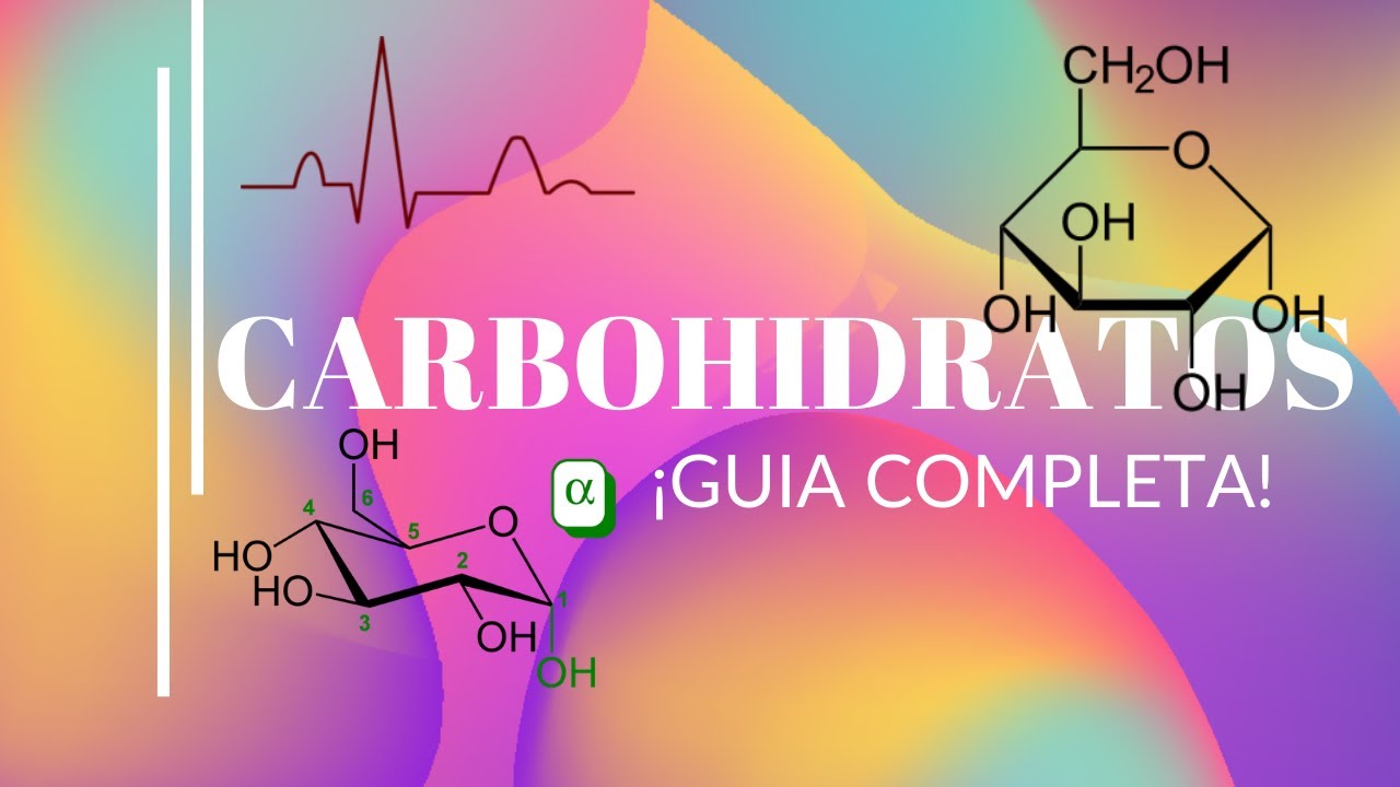 Bioquimica Guia Completa Para Entender Carbohidratos Funciones Estructuras Y Mucho M S