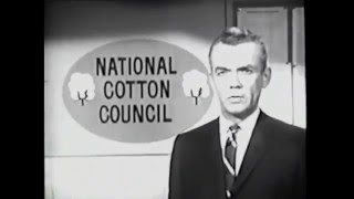 Karen - TV Theme by the Beach Boys - 1965