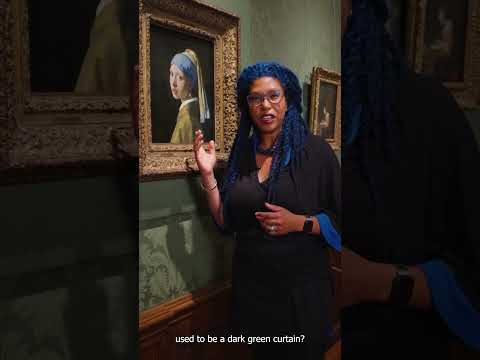 Video: Art Museum Mauritshuis popis a fotografie - Nizozemsko: Haag