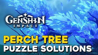 Genshin Impact Perch Tree Puzzle Solutions All Feather Locations (A Particularly Particular Author)