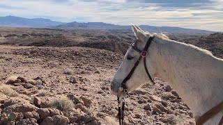 Staying Out of the Wind and Telling Stories by Pat & Deb Puckett 6,410 views 4 months ago 21 minutes