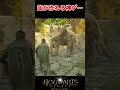 魔法動物の街を作ることができる神ゲー【ホグワーツレガシー】│Hogwarts Legacy