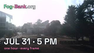 FogCam · July 31, 2026 · 5 pm PT · one hour, every frame