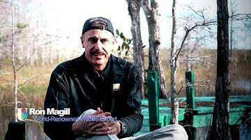 Polaroid University Demo Reel