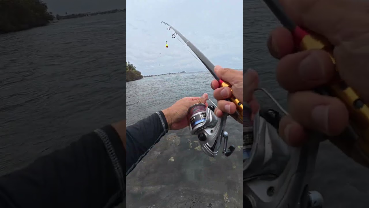 Peche a Tahiti Arue Bord de mer - Tahiti fishing