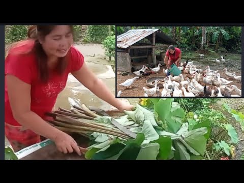 Video: Kung Paano Gumawa Ng Isang Order