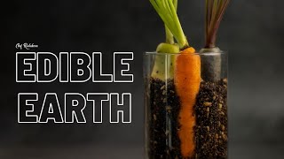 Edible Earth: Savoring Gastronomic Treasures
Learn on Skillshare: https://www.skillshare.com/en/r/profile/Chef-Rudakova/154353781?gr_tch_ref=on&gr_trp=on
Today was the day when Iâve cooked like the best restaurant on EARTH! Get it? đ Yes, today Iâve cooked the Edible Earth, Nomaâs signature dish.
If you donât know Noma restaurant, youâve been living under a rock and you should check it out right now!
Hereâs their IG page FYI: https://instagram.com/nomacph?igshid=qwjdylyr5guk
Ok, now that youâre back, letâs make some Edible Earth / edible soil, or as some may call it âedible dirtâ.
The recipe that Iâm sharing with you here is my version of the recipe, itâs modified from the original. And I encourage you as well, to go ahead make your own versions. This recipe is very versatile and you can use it in many different ways and add your own flavours.
2 main ingredients in my Edible Earth recipe are dry dark bread & Tapioca Maltodextrin.
You can learn more about Tapioca Maltodextrin, in my earlier video on this molecular gastronomy ingredient, HERE: https://youtu.be/8WtA6cEm4uk Edible Earth: Savoring Gastronomic Treasures