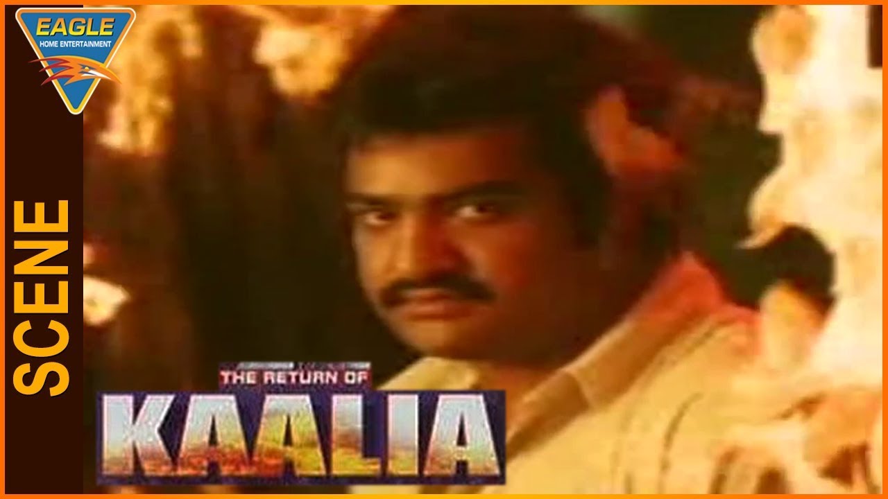 The Return Of Kaliya Hindi Dubbed Movie Jr.Ntr Introduction Scene