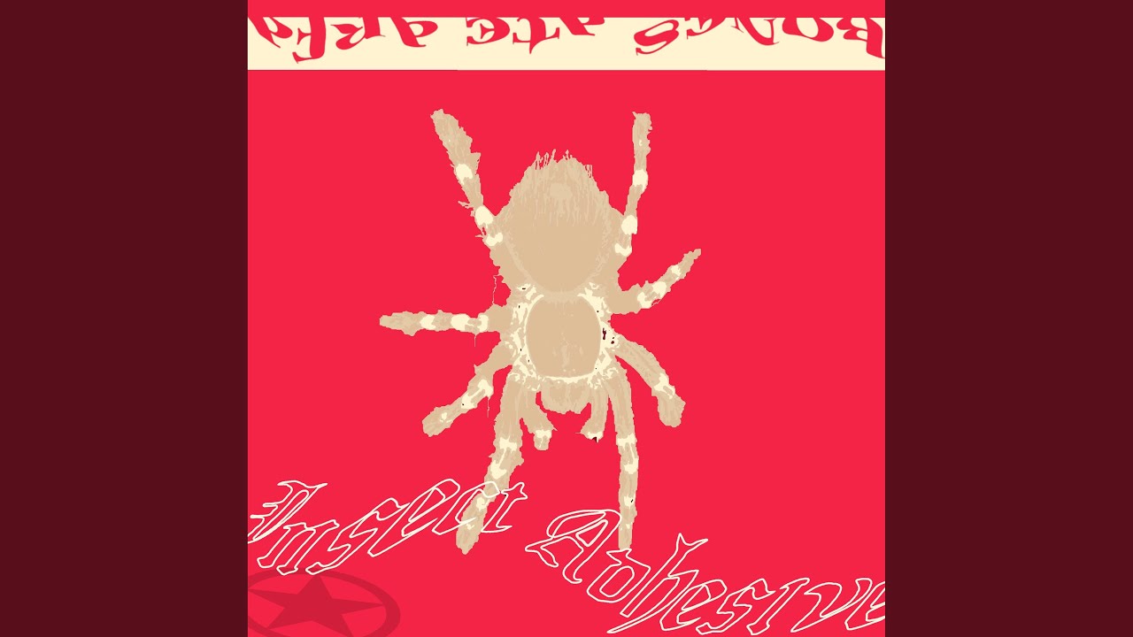 Watch Insect Adhesive on YouTube Watch Insect Adhesive on YouTube