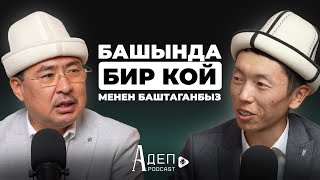 картинка: 