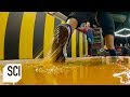 Can you walk on rodent glue without getting stuck  mythbusters jr