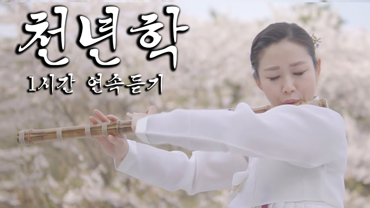 천년학 - 대금 커버 cover by 대금이누나  [1시간]