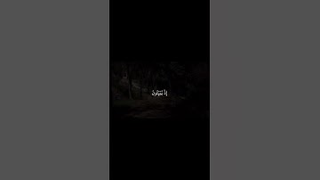 يستخفونَ مِنَ الناس ولا يستخفونَ مِن الله | محمد اللحيدان | سورة النساء اية ١٠٨|