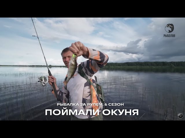 Поймали судака и пожарили прямо в лодке / Рыбалка за рулем / 6 сезон. 17 серия