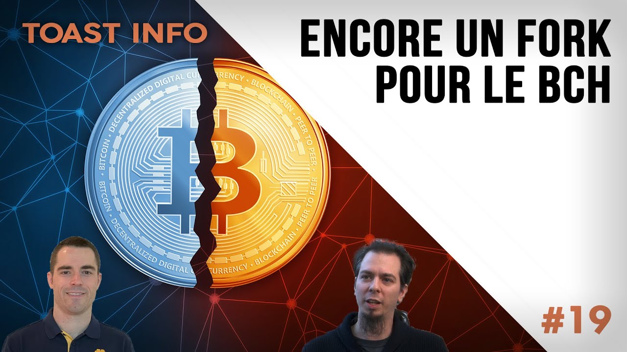 FORK DU BITCOIN CASH - VERS LA FIN DU BCH ?