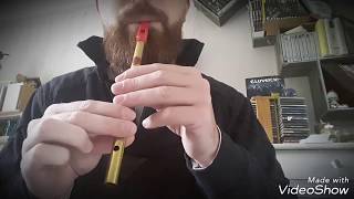Eluveitie Taranis Evocation II Tin whistle tutorial