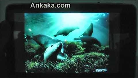 Android Tablet Review - WoPad  7" Android 2.1, Multi-touch Capacitive Screen, G-Sensor, Wifi, HDMI