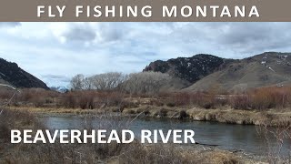 Fly Fishing Montana's Beaverhead River in March [Episode #36]