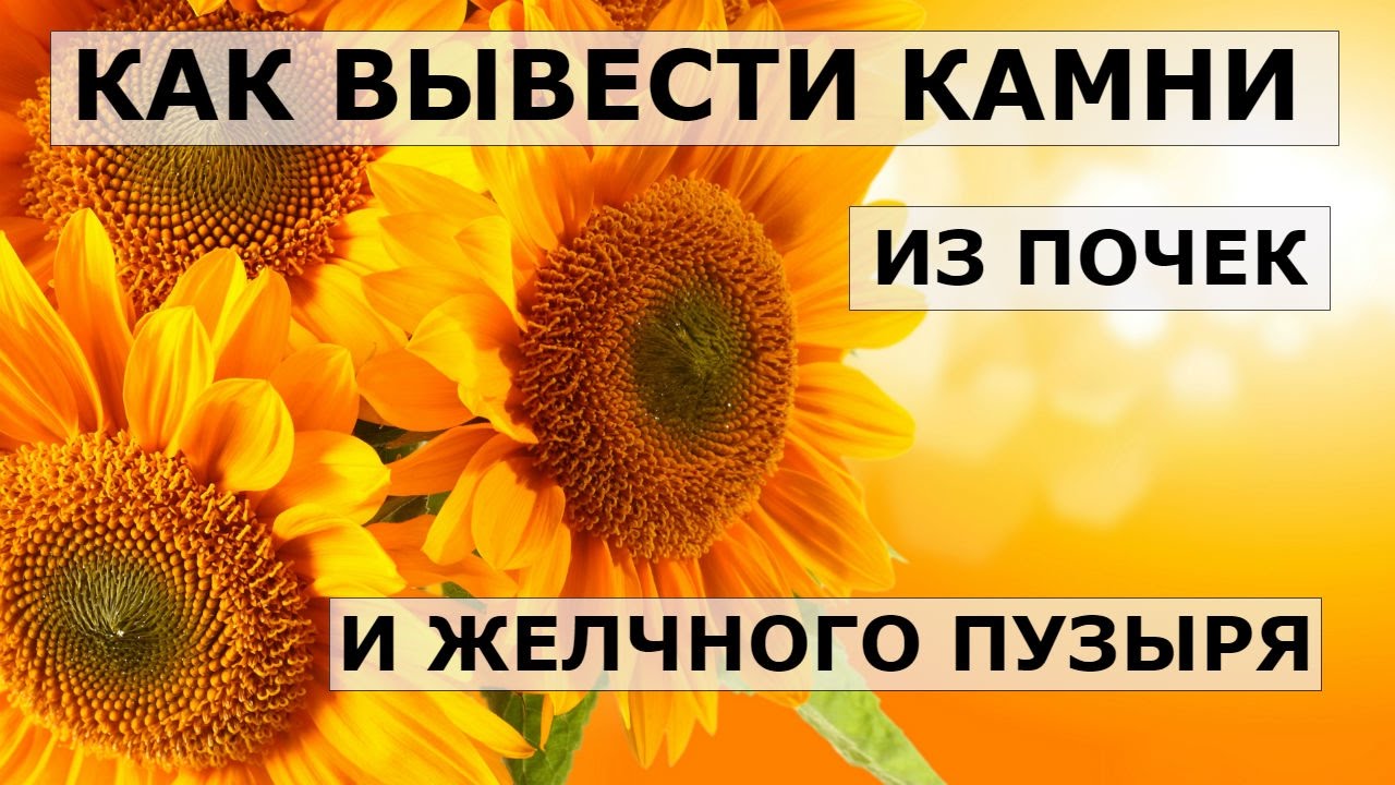 Как вывести камни и песок из почек: лекарства, травы и народная медицина Как вывести камни и песок из почек: лекарства, травы и народная медицина