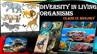 Download lagu Diversity In Living Organisms Class 9 Biology Full Chapter Diversity In Living Organisms Class 9 Biology Full Chapter