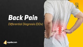 Back Pain Differential Diagnosis | DDx