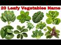 20 Green Leafy Vegetables Name 🥬 | हरी पत्तेदार सब्जियों के नाम Hindi &amp; English | Kids Learning