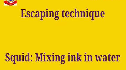 KRSMA#Standard 3 EVS Part 3 Chapter 2 From Doodle Bug To Tusker