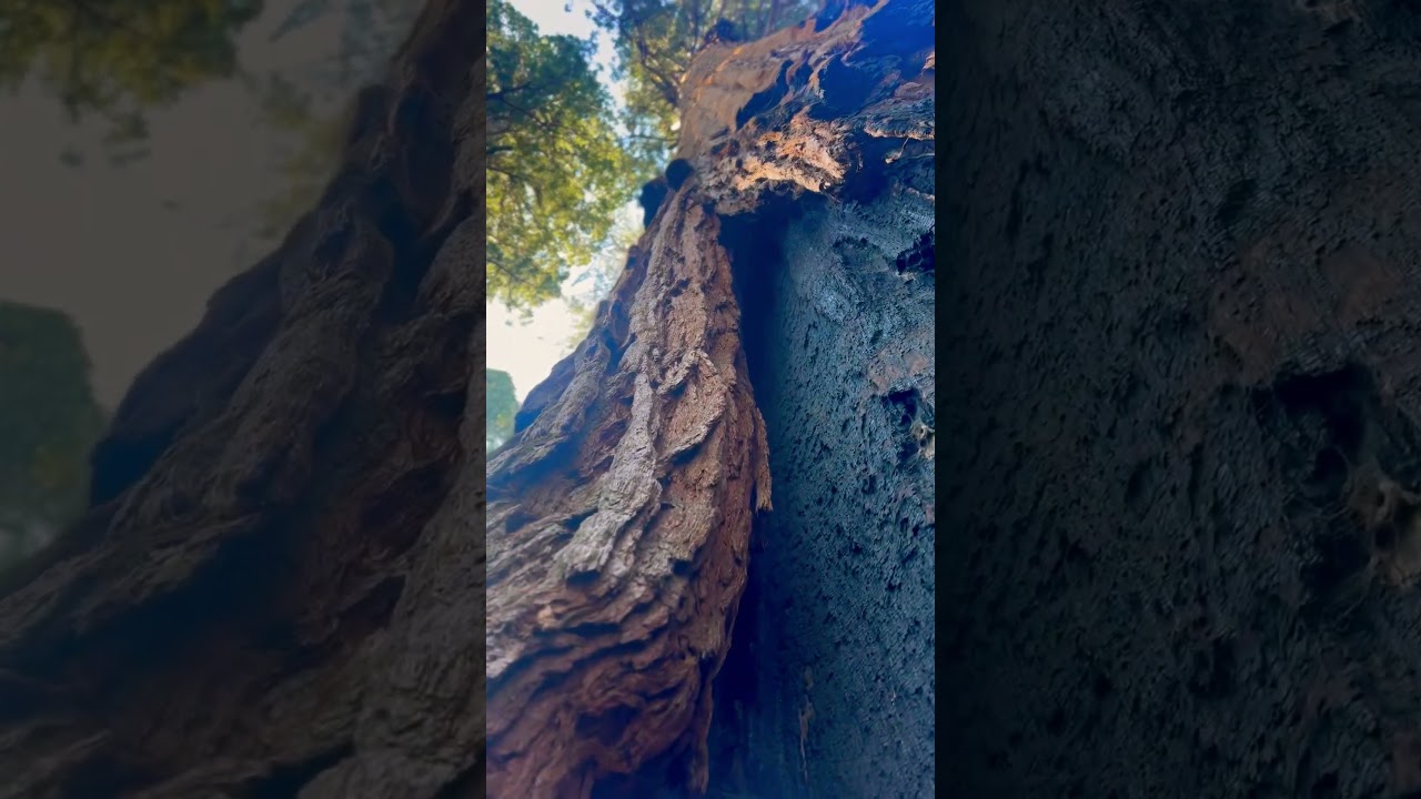 America the beautiful. 7 day 1500 miles California solo road trip. 