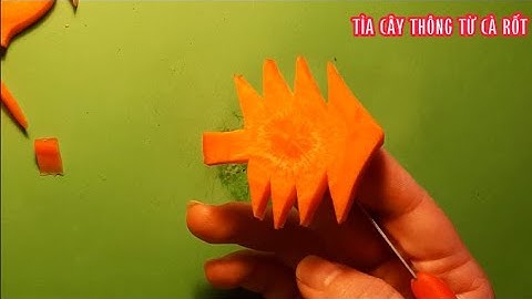 Cách tỉa cà rốt xào  tỉa cây thông cà rốt siêu dễ ai cũng làm được