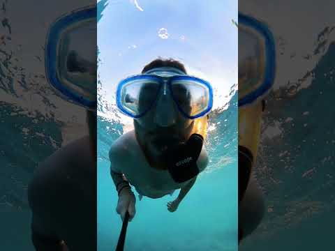 Snorkelling - Corfu