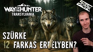 Way Of The Hunter - 12.Rész (Szürke Farkas Erdélyben! Ez Veszélyes?) - Stark