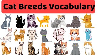 Cat Breeds Name | Cat Breeds Vocabulary In English With Pictures | +60 Popular Cats | #cat #cats