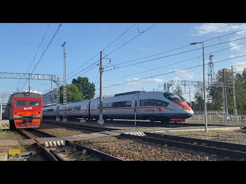 🚇 Высокоскоростной поезд "Сапсан" №770А Москва - Санкт-Петербург.