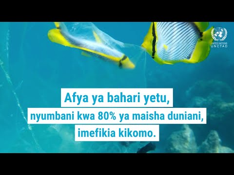 Video: Ni nini athari ya uchafuzi wa mazingira kwa viumbe vya baharini?