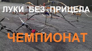 Чемпионат Москвы и МО по стрельбе из лука без прицела 2022