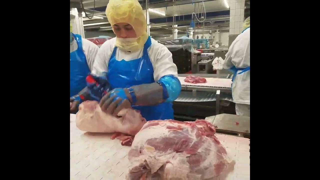 Dezosare pulpa de porc în Olanda  Lacika din Tonciu