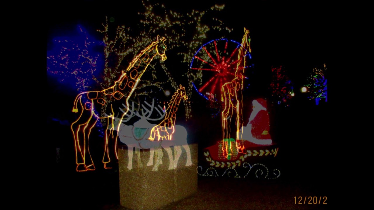LINCOLN PARK ZOO LIGHTS YouTube