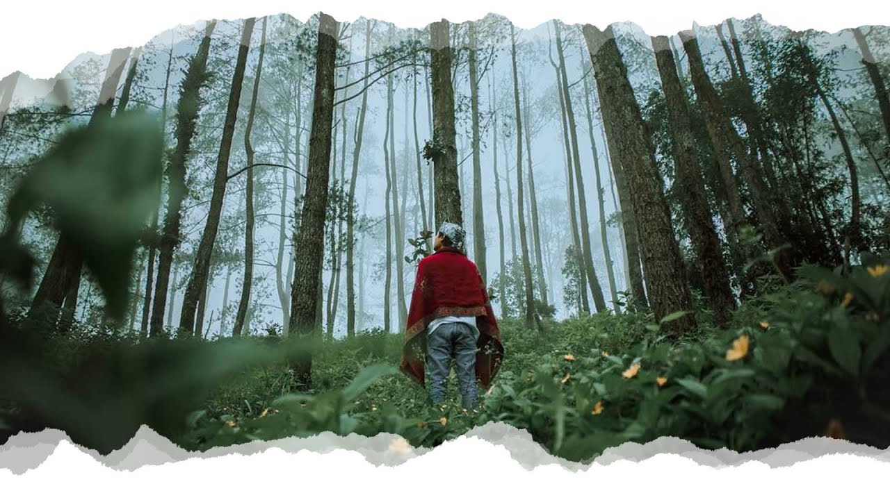 CINEMATIC VIDEO KEINDAHAN ALAM INDONESIA KEREN
