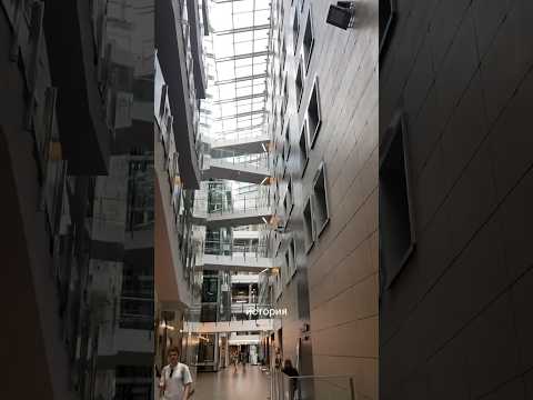 ВШЭ и перевод в МГУ #вшэ #образование #поступление #мгу