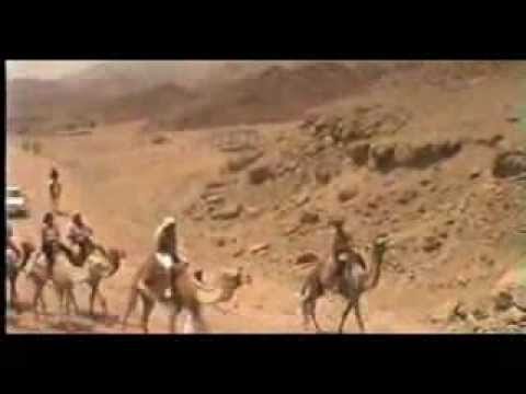 WIKITALIA 3 - SHARM EL SHEIKH - WITH SUBTITLES (EN...