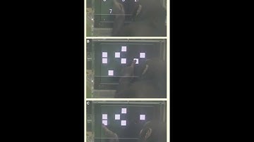 Working memory of numerals in chimpanzees