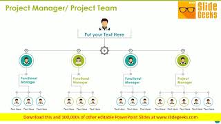 Project Manager Project Team Template Ppt Powerpoint Presentation Icon Deck