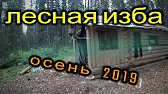 ЛЕСНОЙ ЖИТЕЛЬ